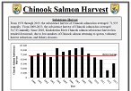 Salmon-Harvest.jpg