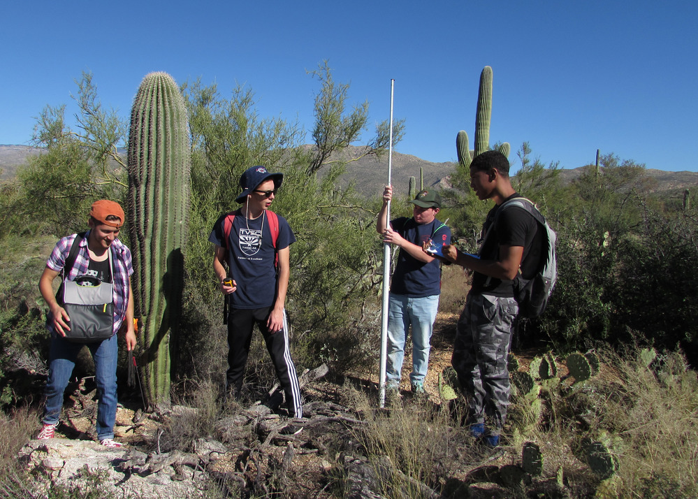 Empire students survey saguaros
