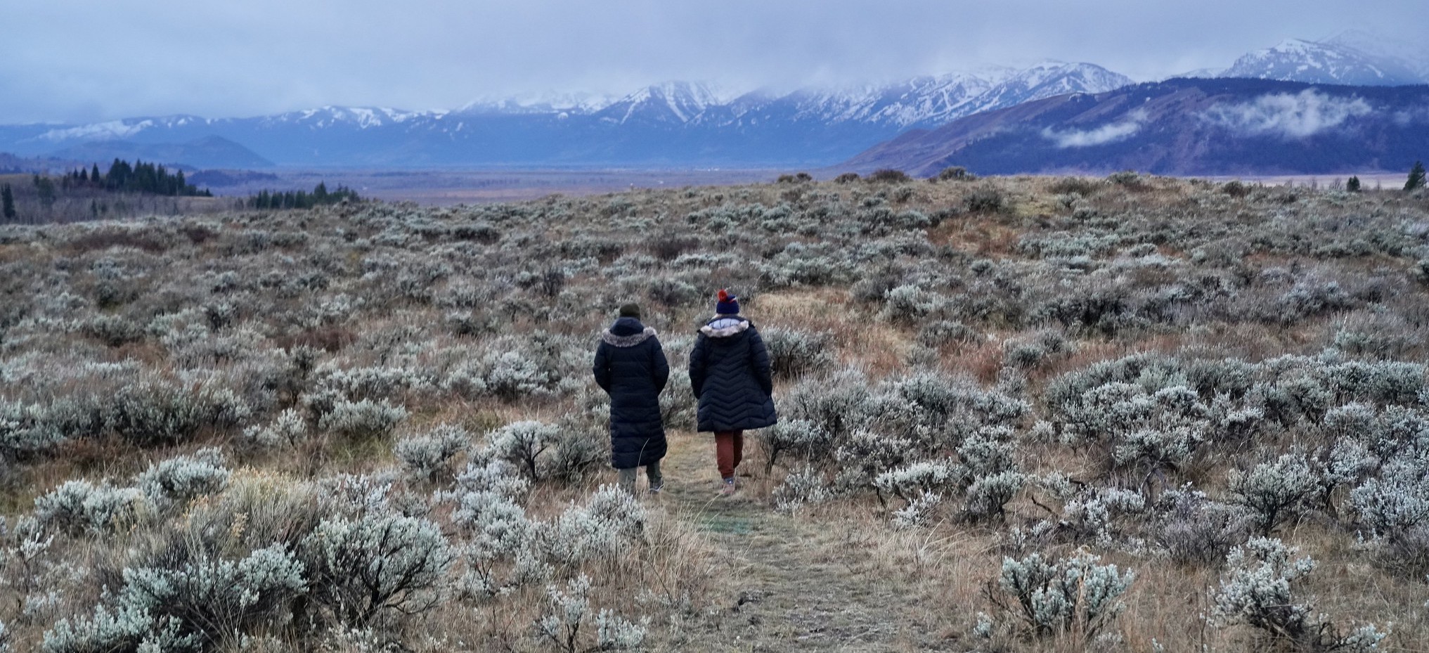 Two people walking in sagebrush with snow-capped mountains in distance, topped by low clouds.