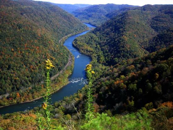 River winds through heavily forested hills.