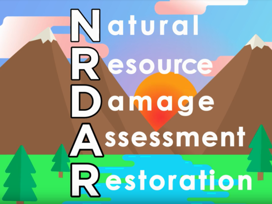 screenshot of NRDAR 101 video