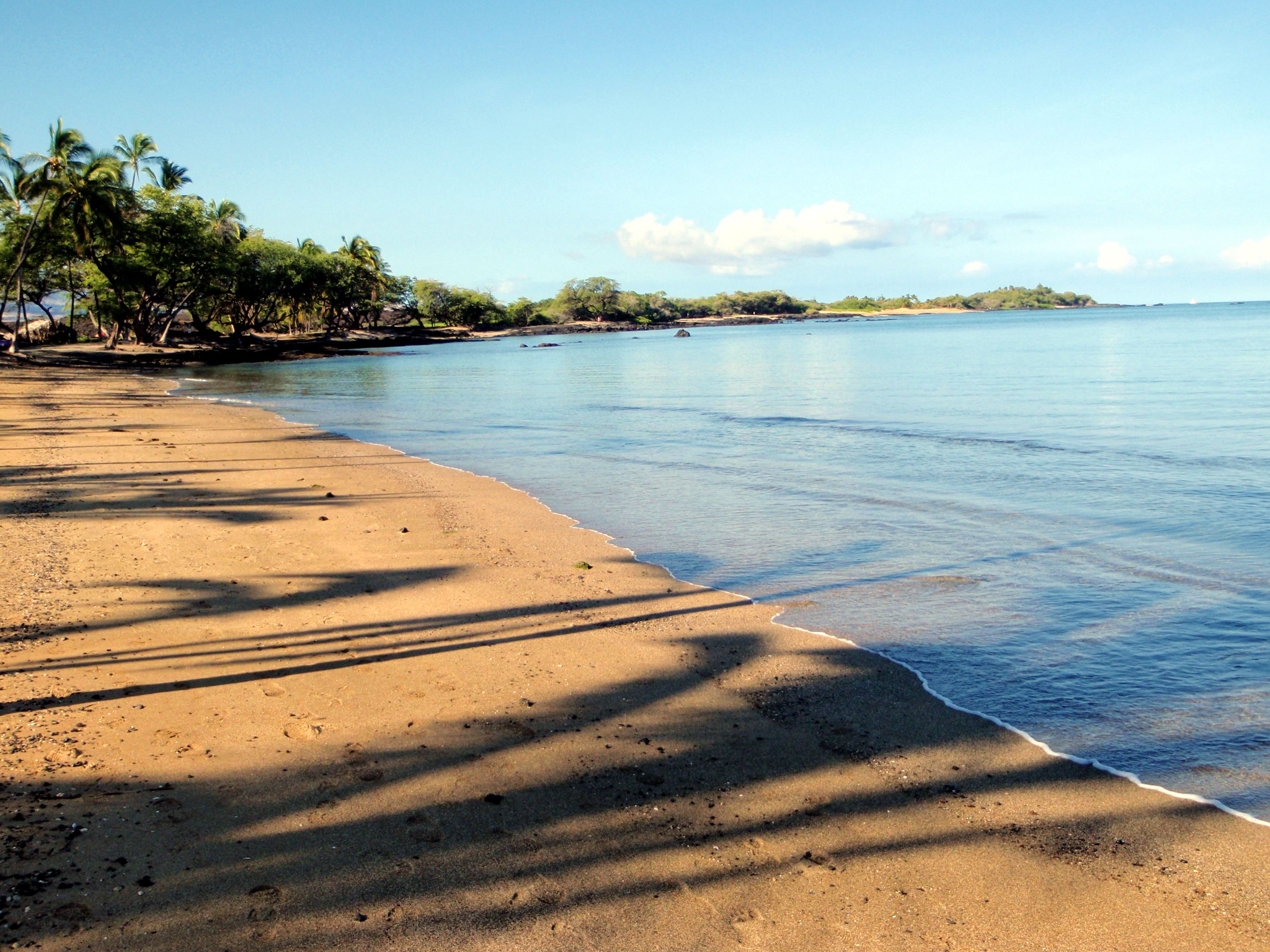 Sandy beach and ocean reflecting a clear blue sky. 