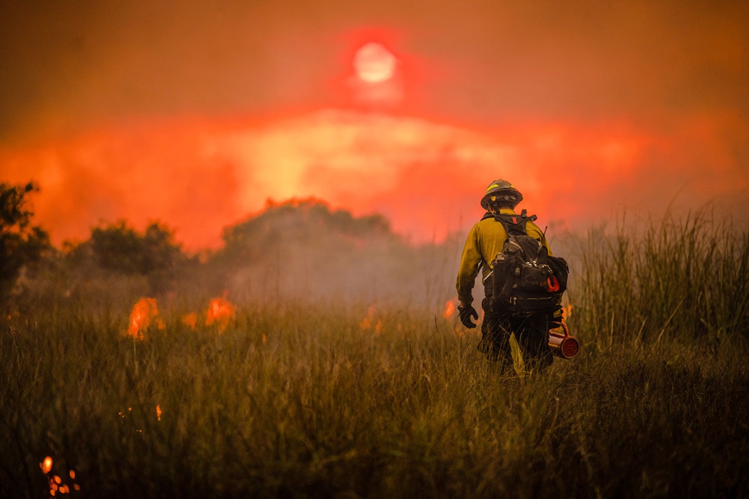 A firefighter works on a prescribed fire at sunset in southern Florida. Photo by NPS.