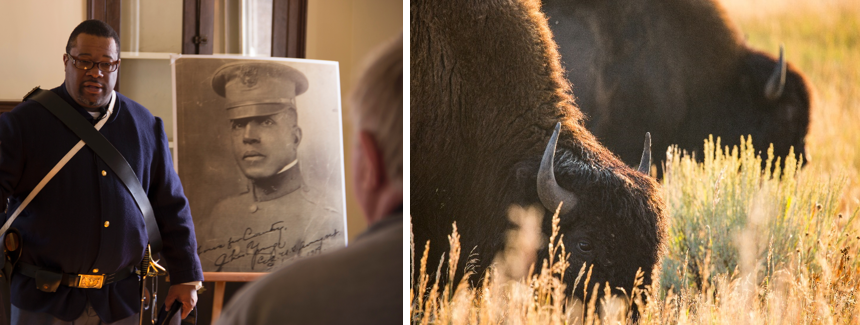 Man standing next to historic photo of Charles Young; bull bison at Yellowstone National Park.