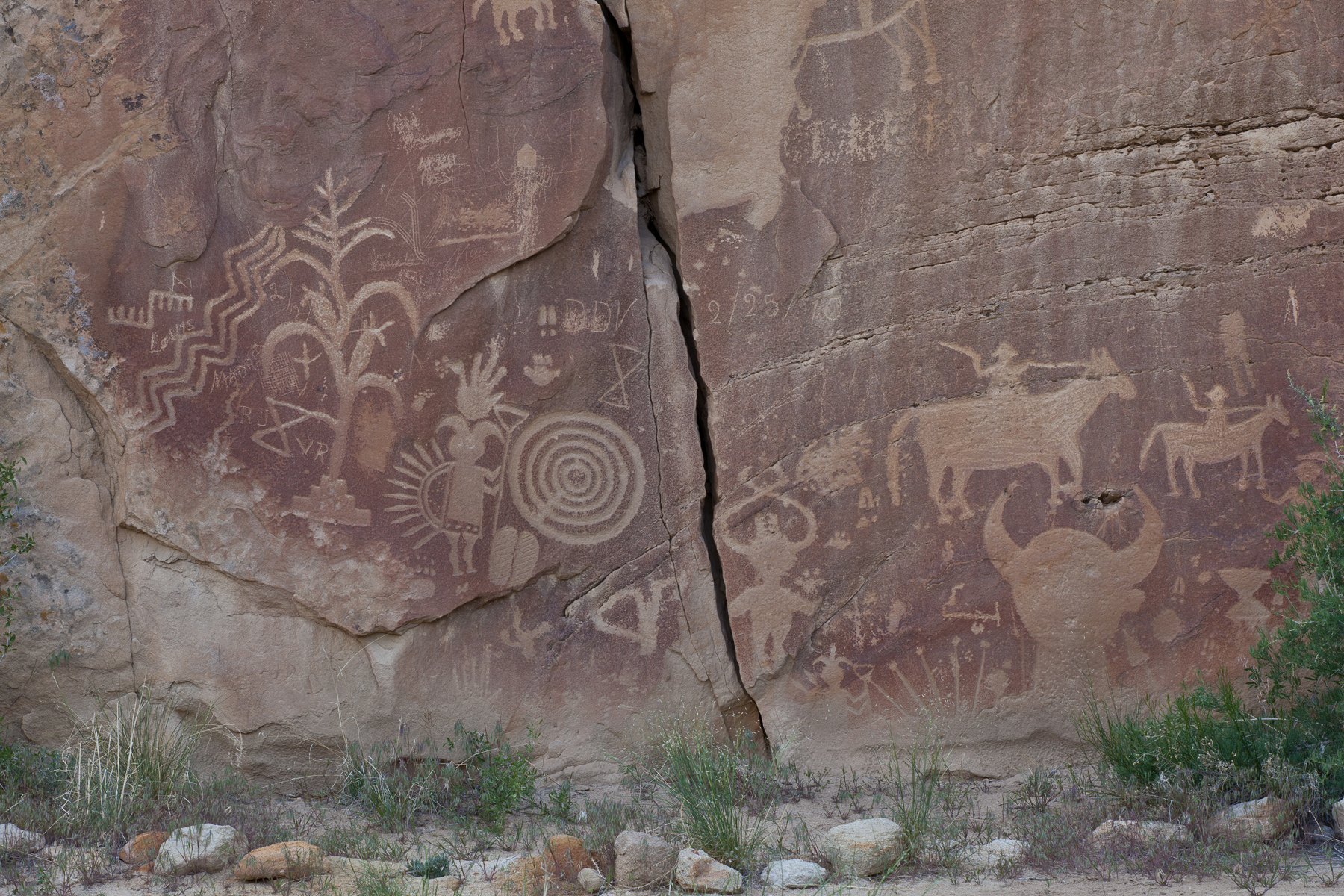 crow-canyon-petroglyphs-blm-photo-pueblitos-of-dinetah.jpg