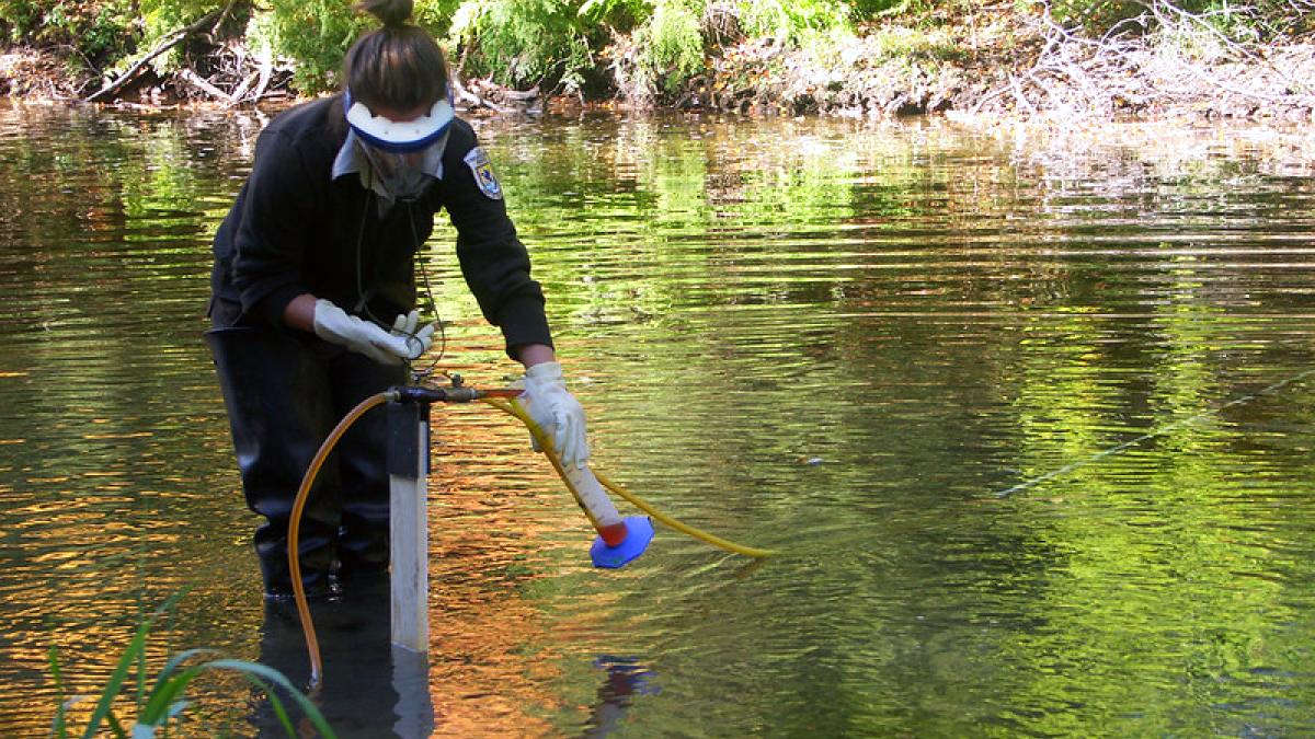 environmental-engineers-us-fish-wildlife-service.png