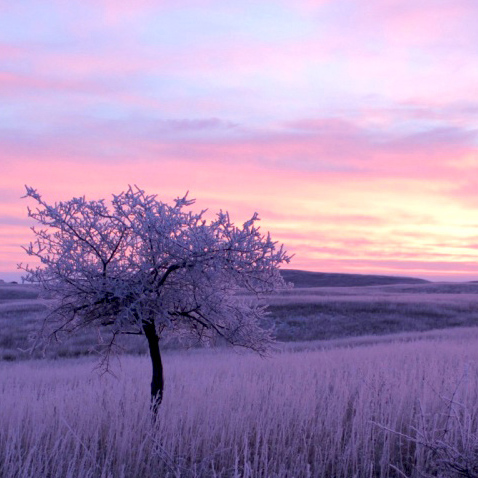 kulm-wetland-managment-district-north-dakota-square.jpg