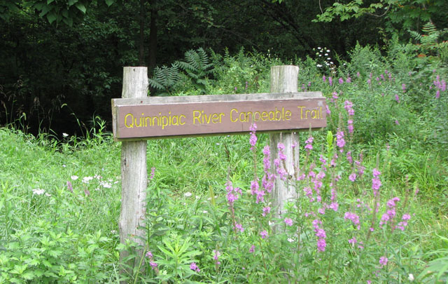 canoe-trail-by-Molly-Sperduto_640x405.jpg