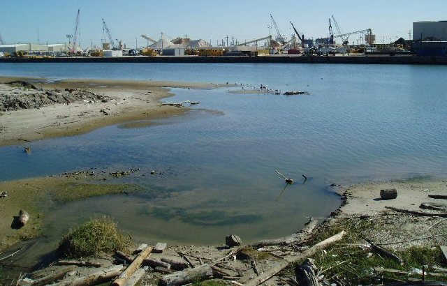 flats_exposed_at_mouth_looking_across_bayou_640x410.jpg