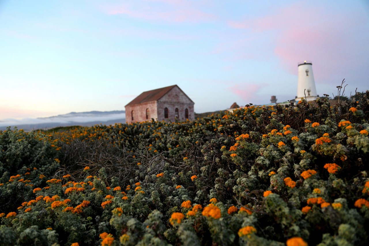 piedras-blancas-light-station-in-california-blm.jpg