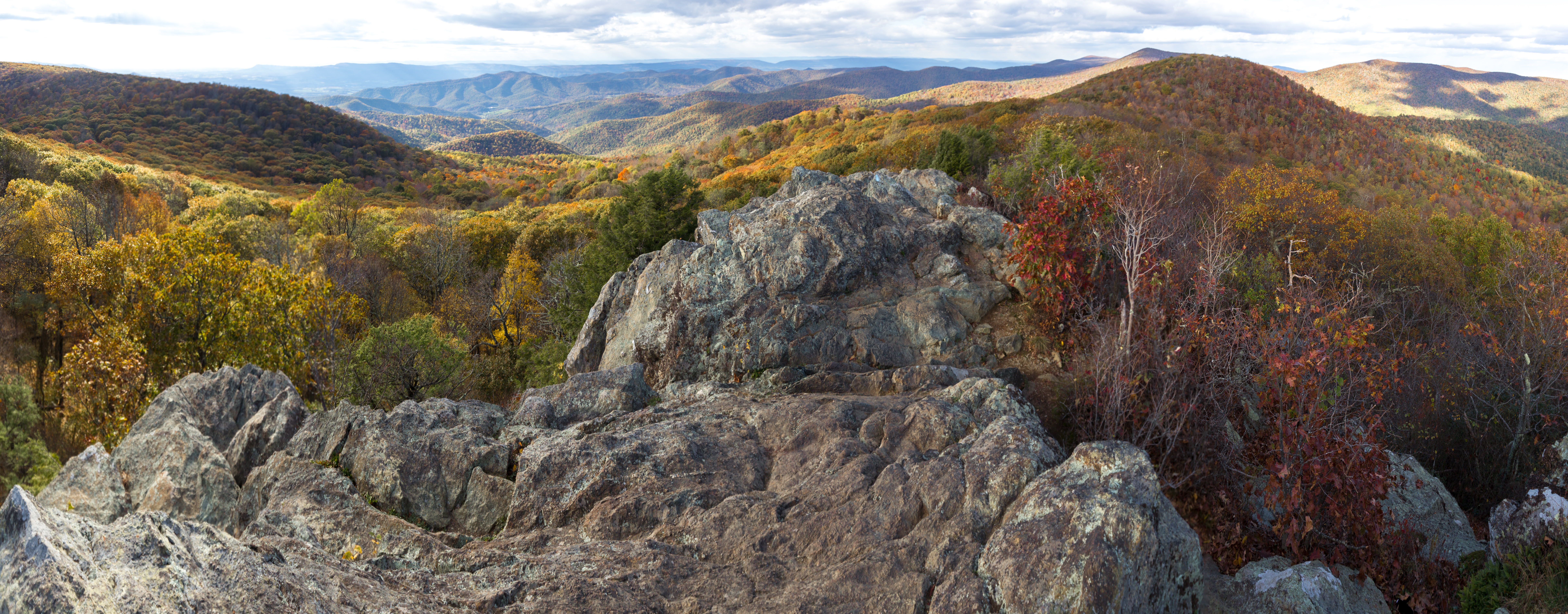 shenandoah-np-virginia-piedmont-katie-cain-nps_0.jpg