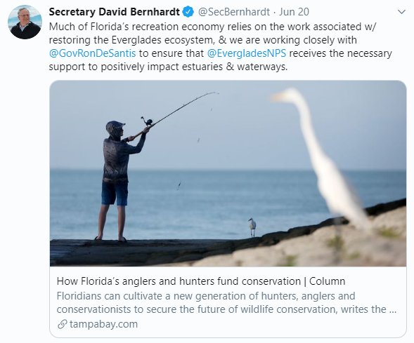 desantis-original.png