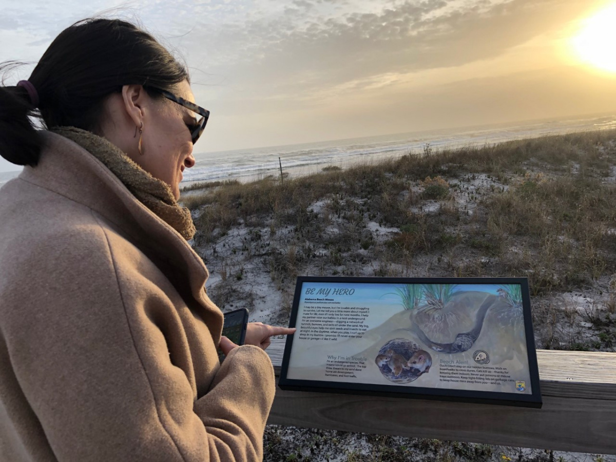 fort-morgan-blm-photo-boardwalk-wayside.jpg