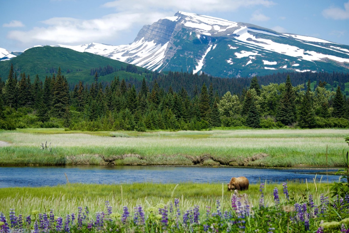 lakeclarknppjune2015.jpg