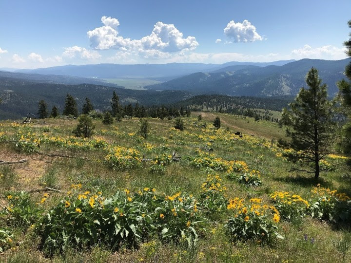 lower_blackfoot_river.jpg