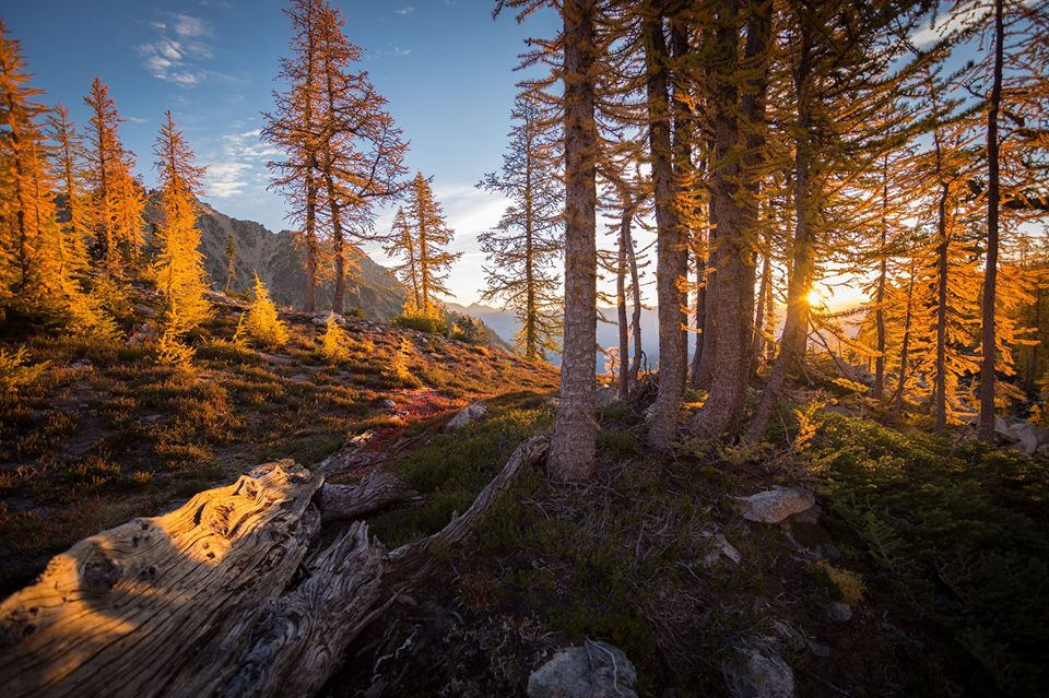 north_cascades_np_fallcolors2016_nps_photo.jpg