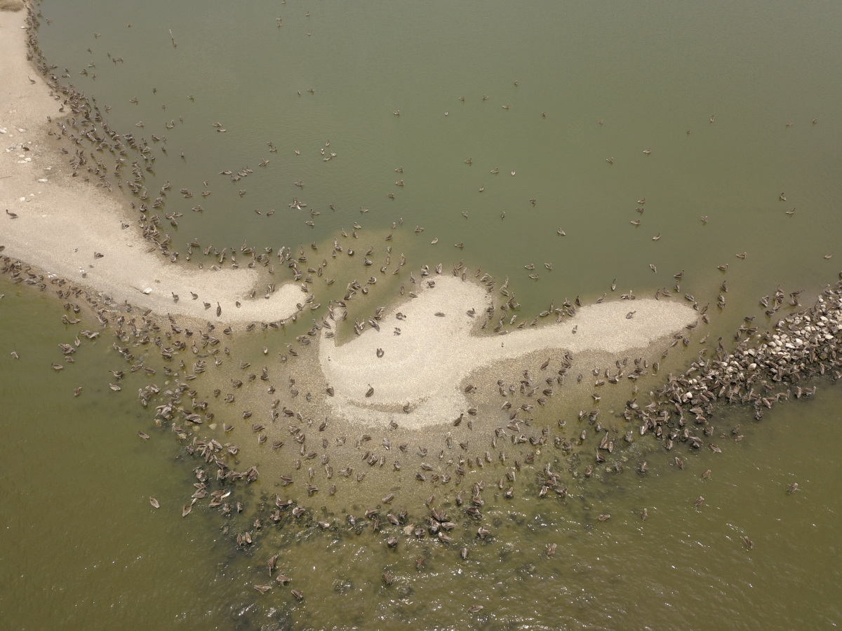 nrda-aerial-of-queen-bess-island-la-dwf.jpg