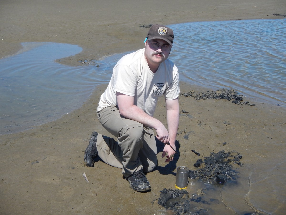 nrdar_brenton_island_robin_donohue_sampling_at_breton_nwr_-_usfws.jpg