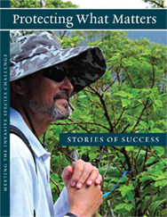 stories_of_success_cover_sm.jpg