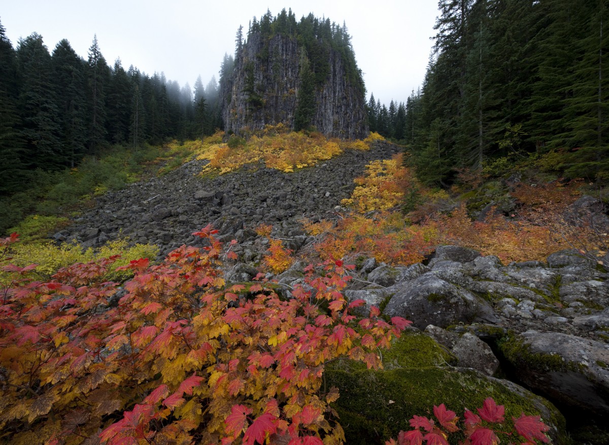 table_rock_wilderness_blm_photo_bob_wick_fall_colors.jpg