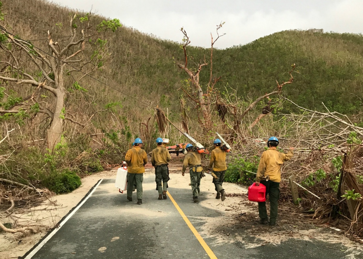 virgin_islands_doi_imt_road_crew.jpg