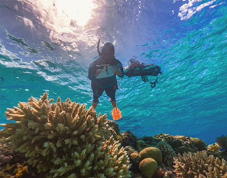 Monitoring Coral Reefs in American Samoa photo
