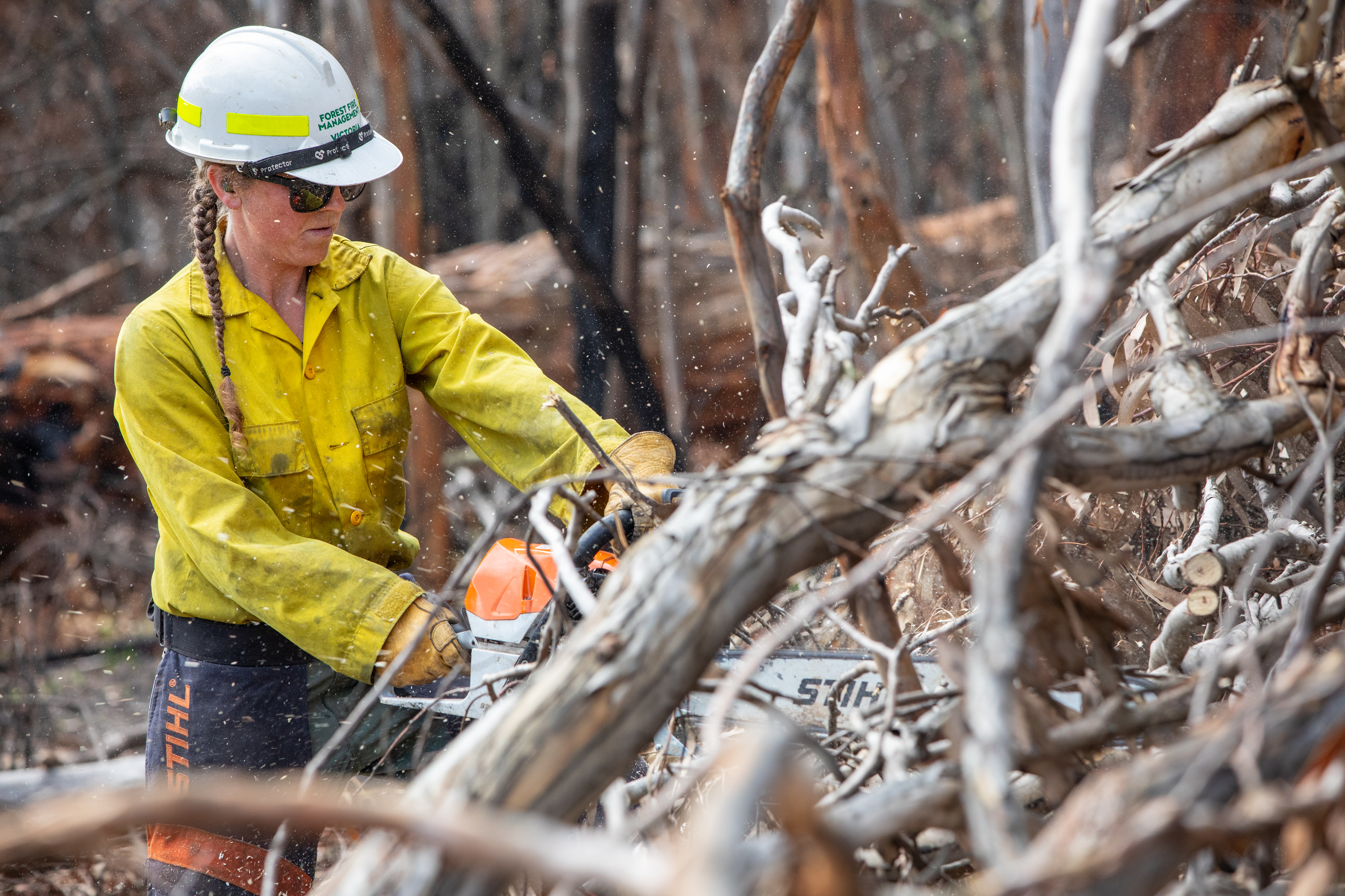 Firefighter uses a chainsaw to clear branches and brush.