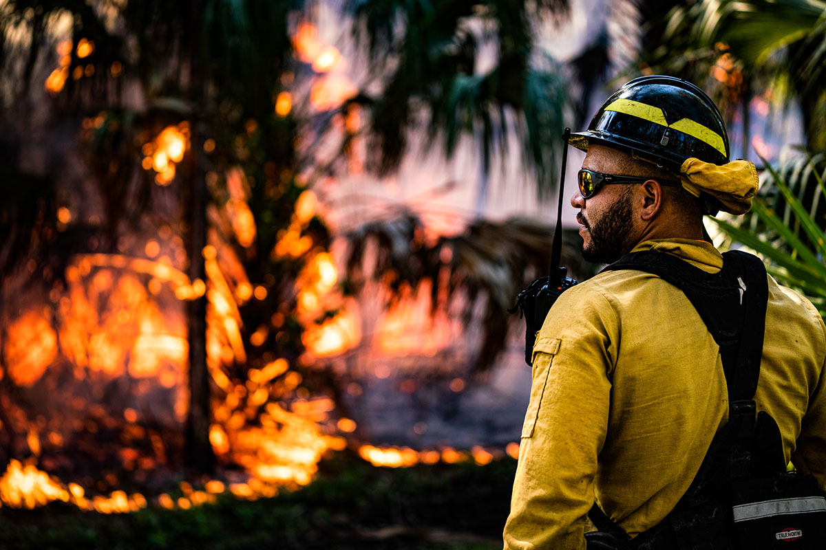 Firefighter looks out at burning brush. 