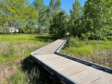 Light colored wooden boardwalk extends over a green grassy field with lush green trees in the background