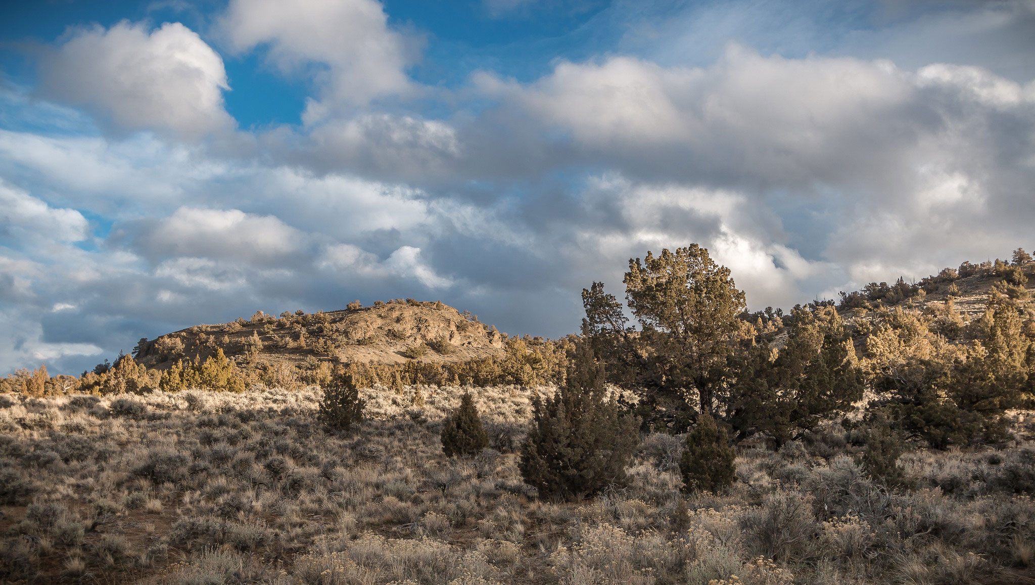 High desert landscape with sagebrush and cloudy blue sky. 