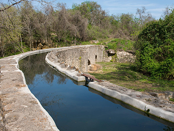 A stone aqueduct holding murky water surrounded by trees