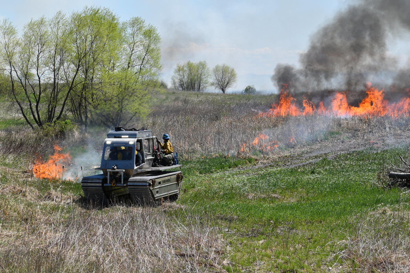 A tracked vehicle drives through a swampy area as fire burns in dead vegetation. 