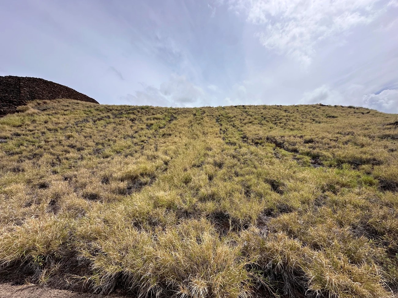 Pili grass hill