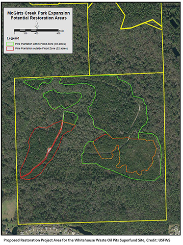McGirts Creek Park Restoration Area