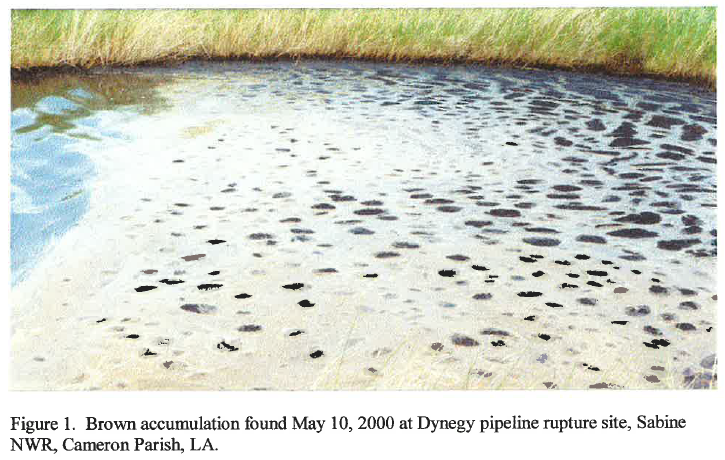 Dynegy Pipeline Rupture at Sabine National Wildlife Refuge