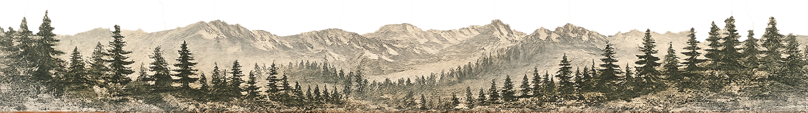 Illustration of mountains and tree landscape