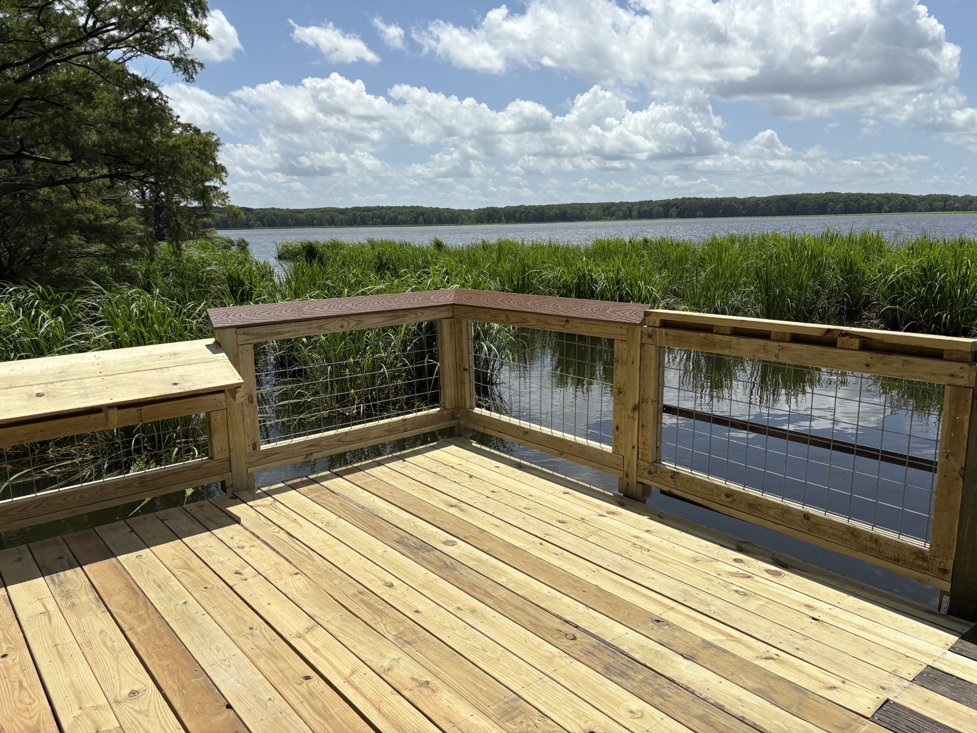  Newly constructed pier with wooden decking and railing overlooks the Wapanocca Lake.