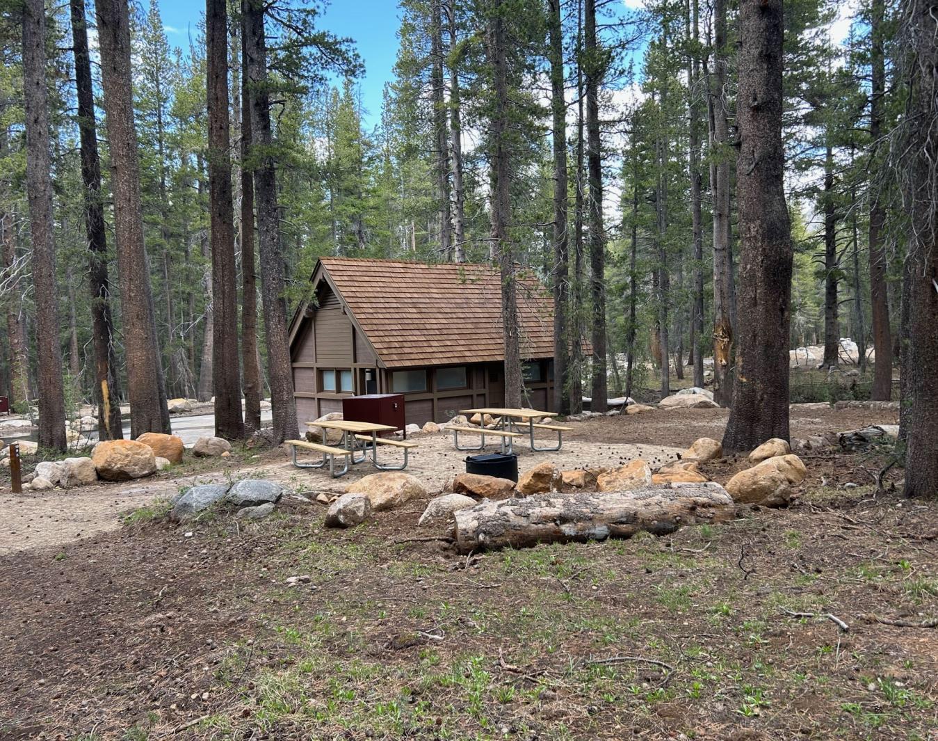 Restored campsite with picnic tables and a cabin surrounded by tall trees.