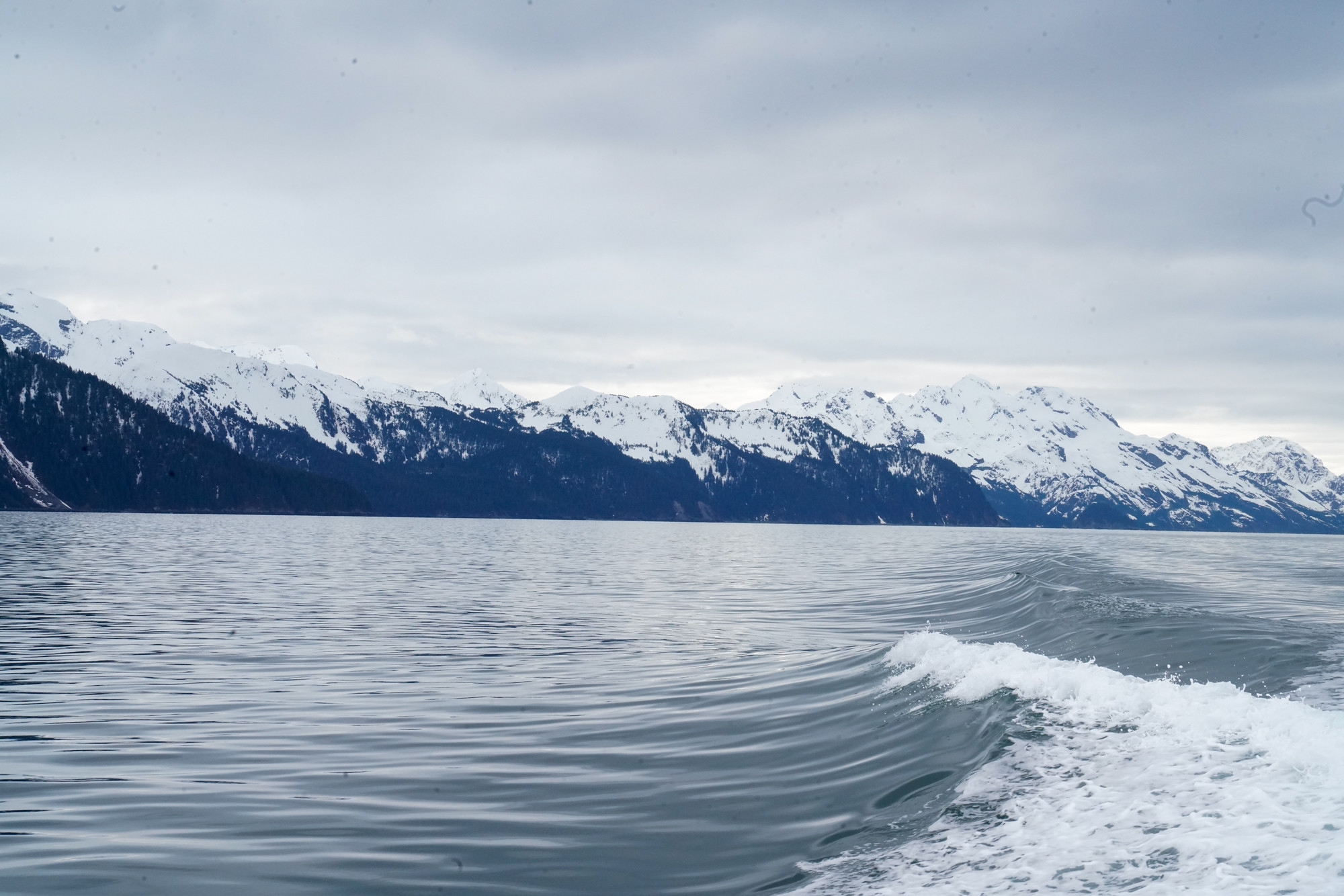 Image of Kenai Fjords National Park, Alaska