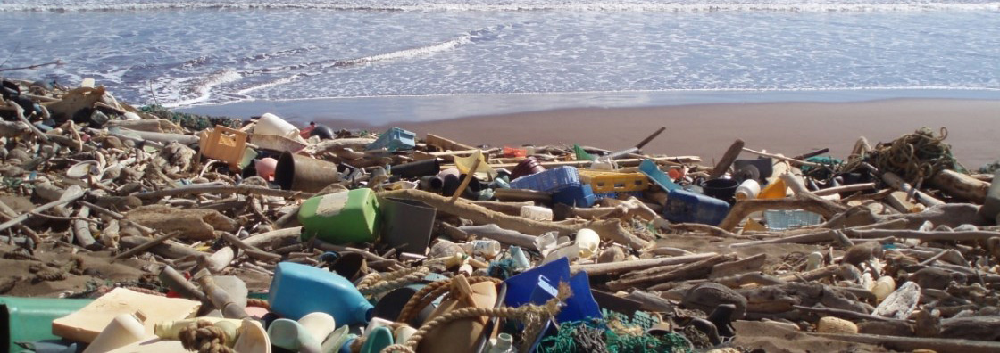 Plastic marine debris next to ocean. 