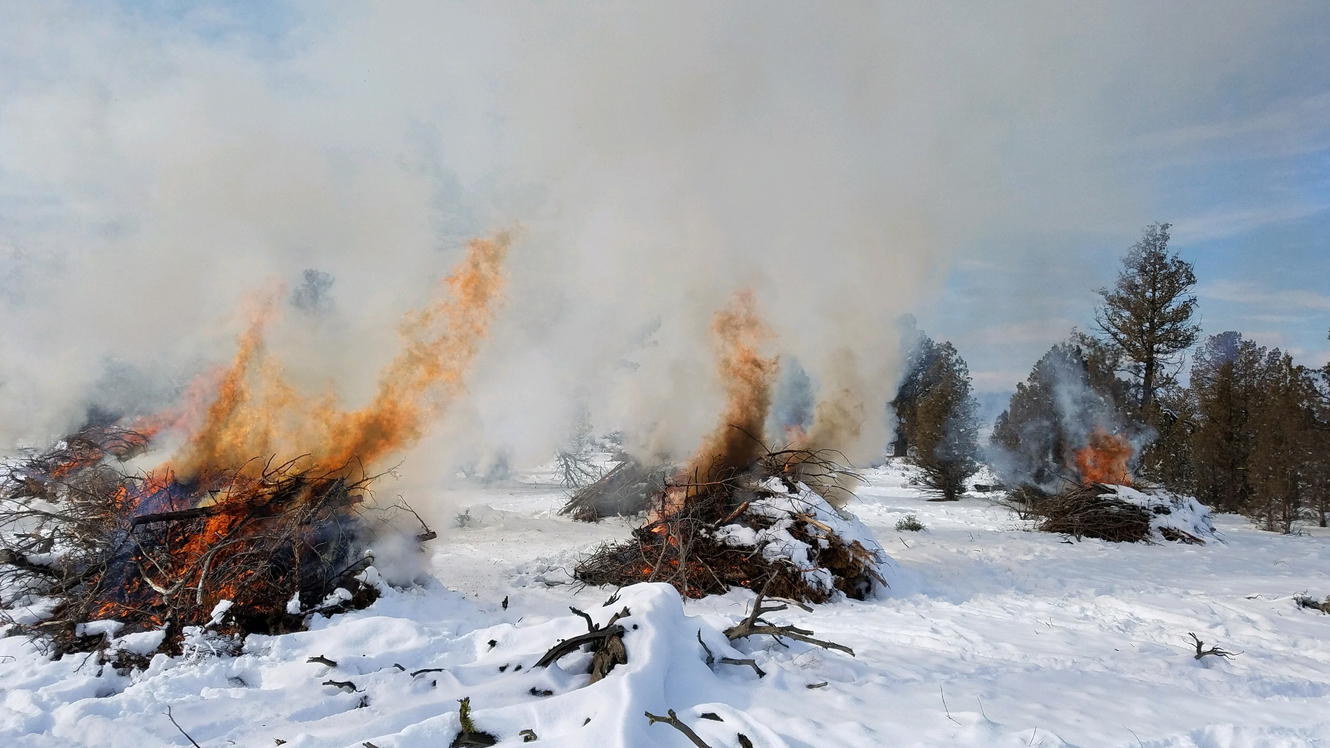 Burning debris piles in the snow.