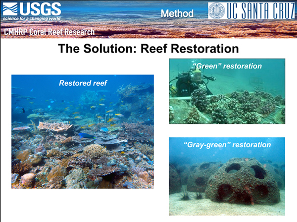 Reef Restoration photo