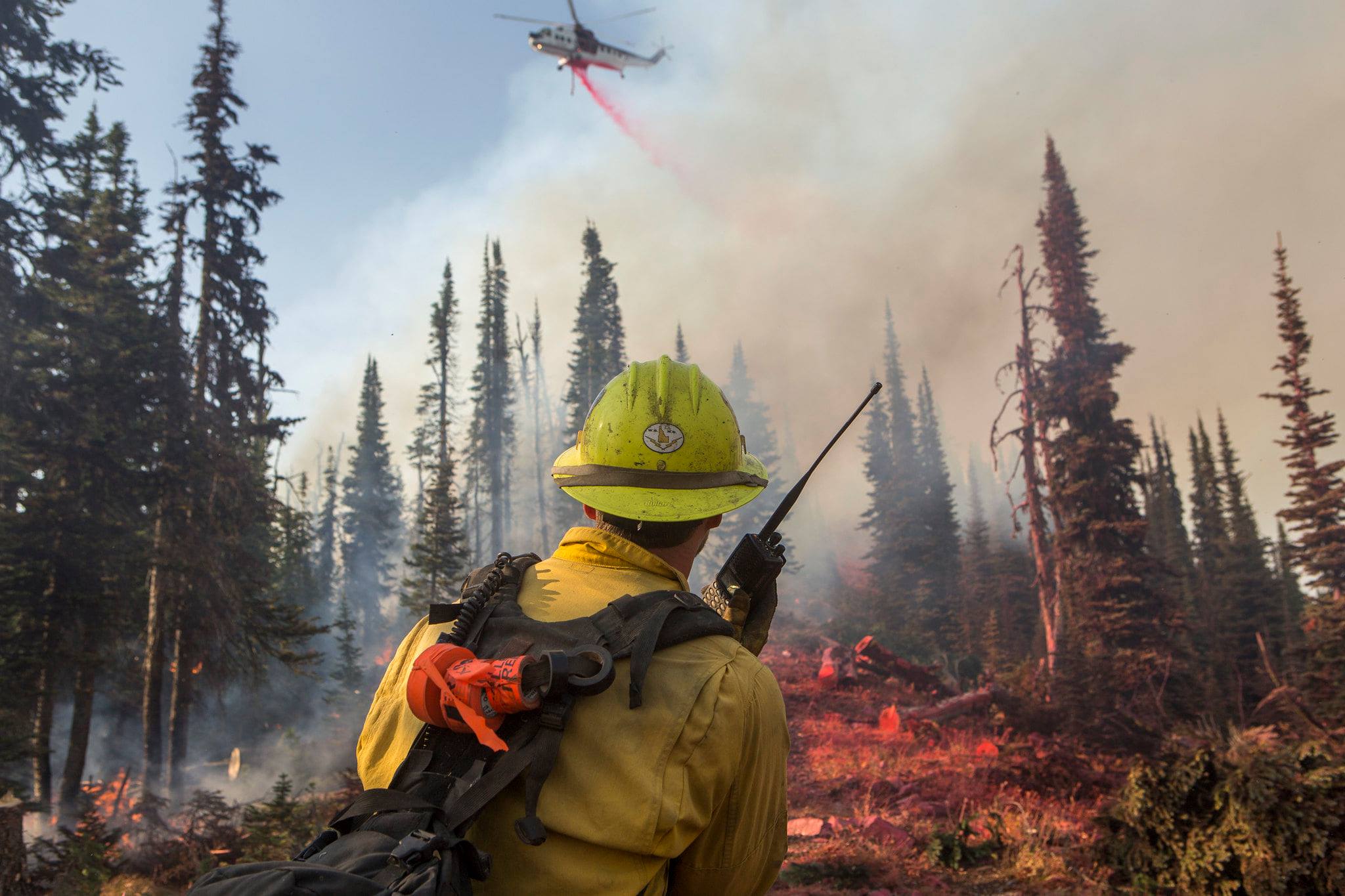 Firefighter holds a radio as a helicopter flies over the Rice Ridge Fire.