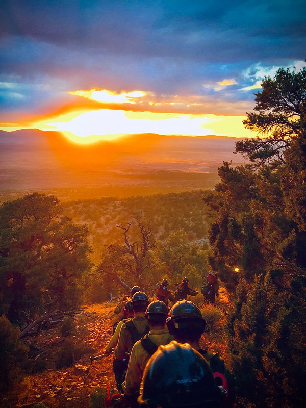 Ruby Mountain Interagency Hotshot Crew walks on a wooded trail with the sunsetting over the mountains.