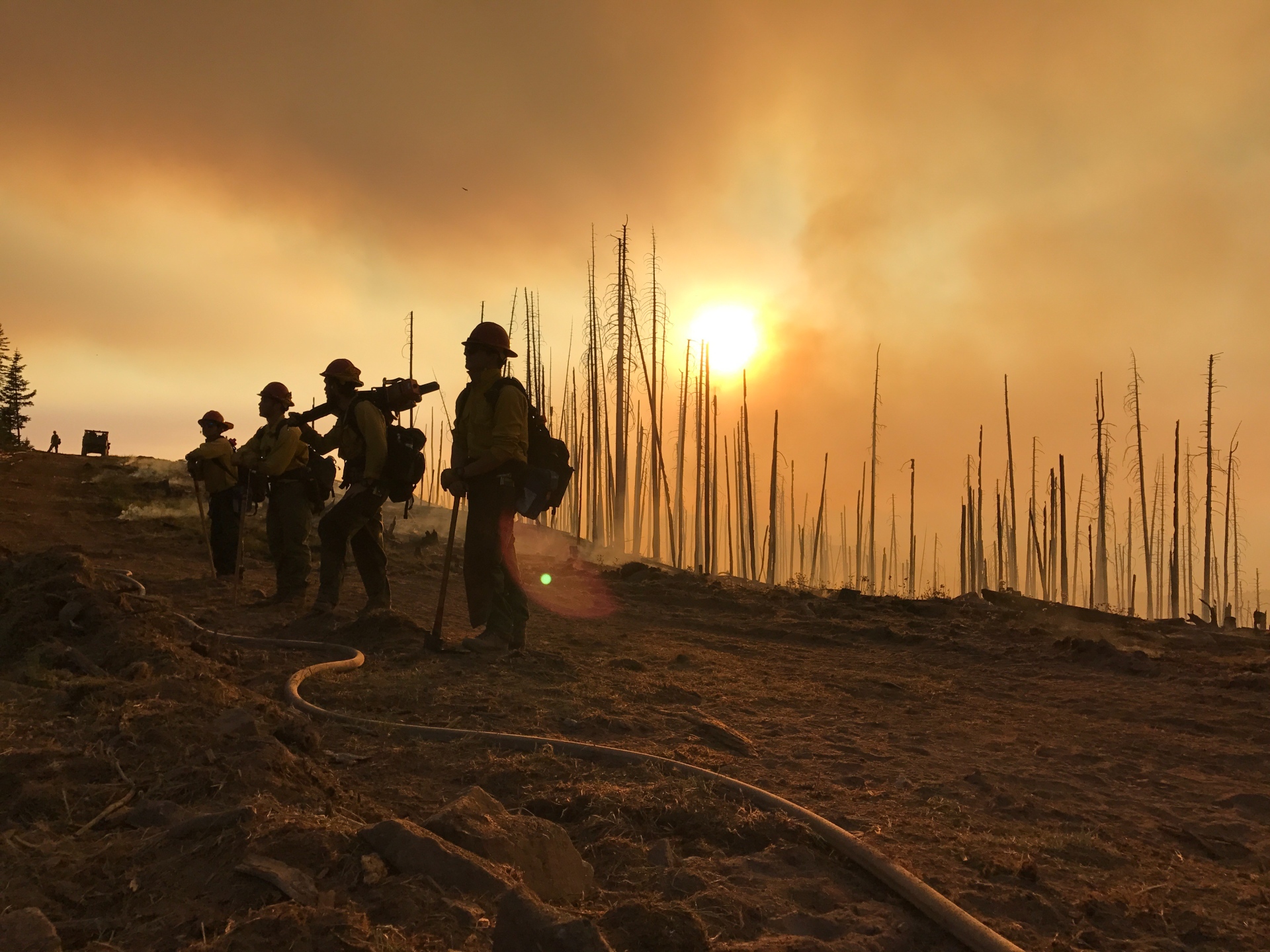 The BLM Gila District's Safford Hand Crew works a burnout operation during the 2017 Frye Fire, Coronado National Forest, Arizona.