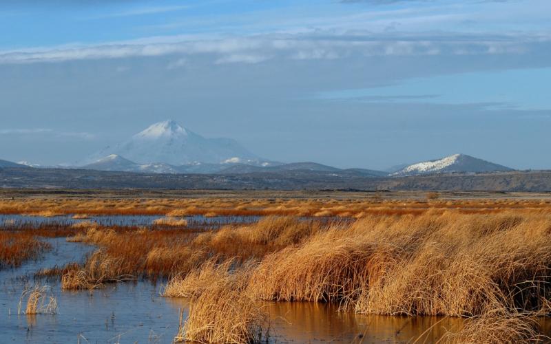 Snow-capped mountains behind a clear lake.