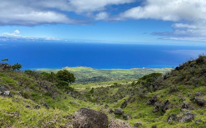 A bright blue ocean view from atop green, mountainous terrain.