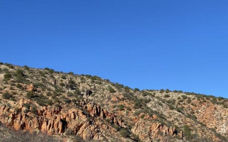 Bright blue sky over rugged wilderness covered in shrubs