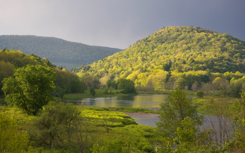 Rolling hills covered in green vegetation in a river basin.