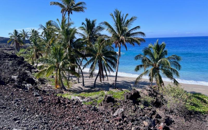 A tropical-looking blue-water beach in Hawaii with a rocky shoreline dotted with palm trees